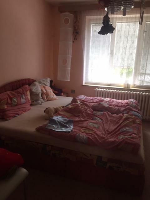 Apartament Dolni Bukovsko